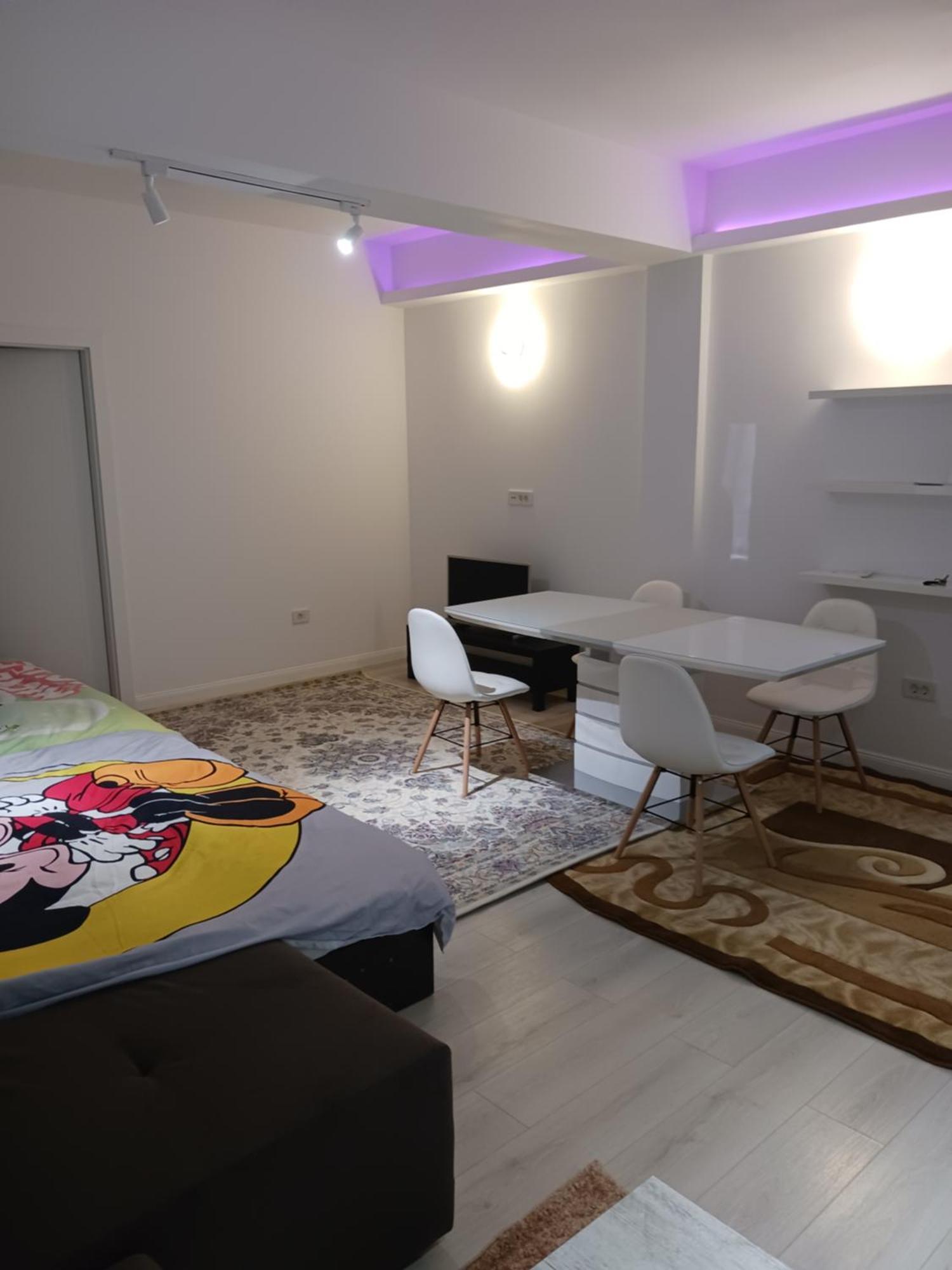 부쿠레슈티 Myky Mouse Nu Primesc Santieristi Si Petrecareti 아파트 외부 사진