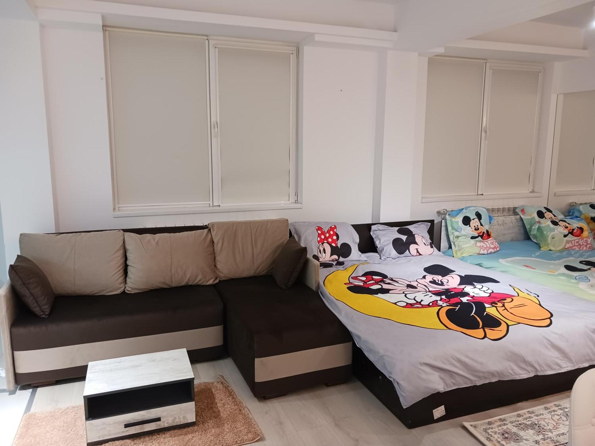 부쿠레슈티 Myky Mouse Nu Primesc Santieristi Si Petrecareti 아파트 외부 사진