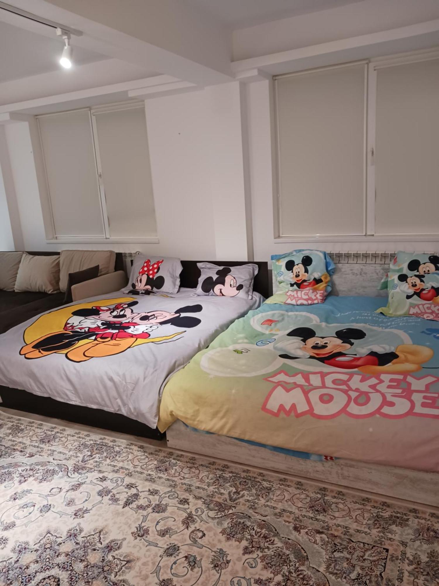 부쿠레슈티 Myky Mouse Nu Primesc Santieristi Si Petrecareti 아파트 외부 사진