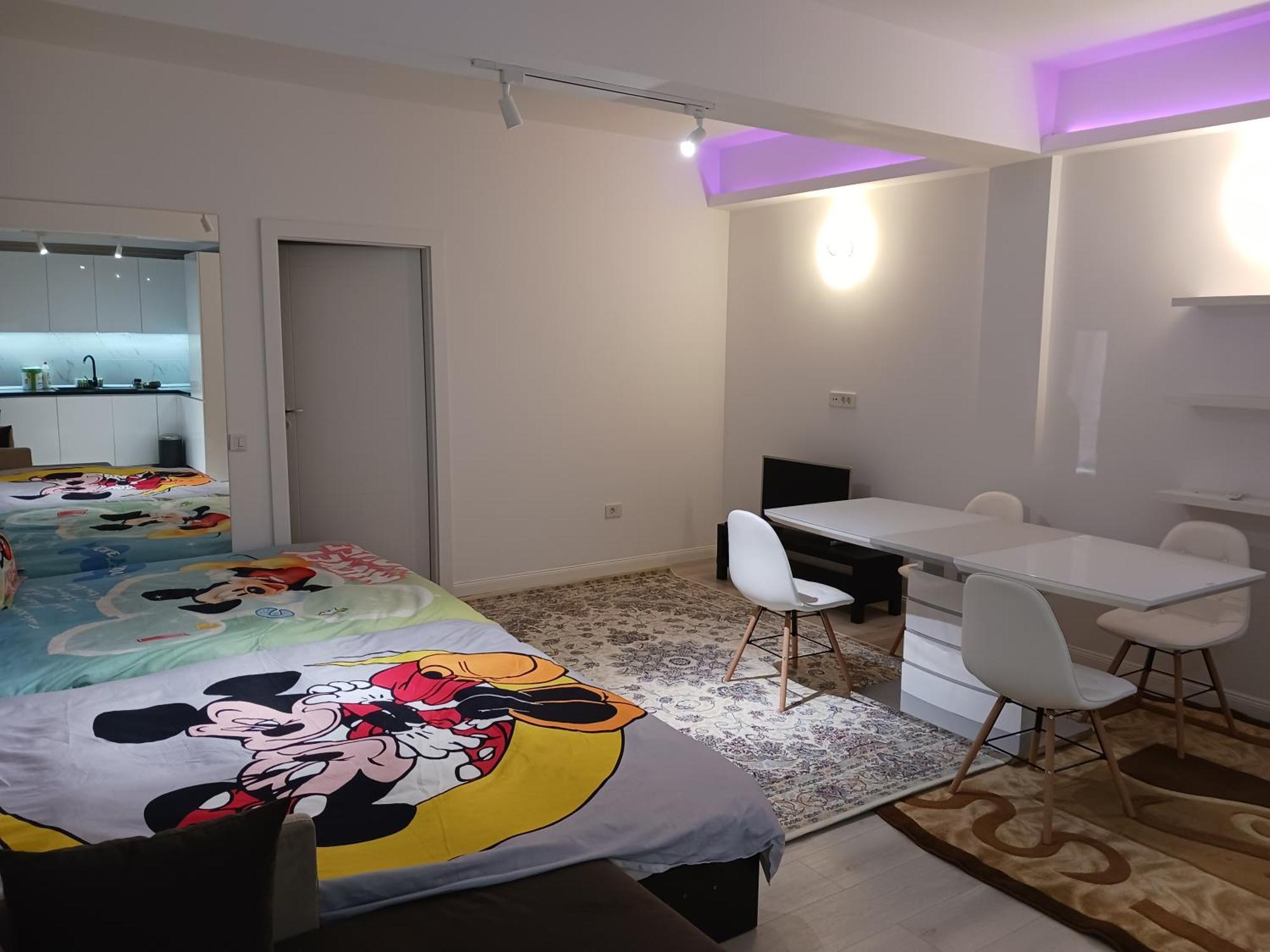 부쿠레슈티 Myky Mouse Nu Primesc Santieristi Si Petrecareti 아파트 외부 사진