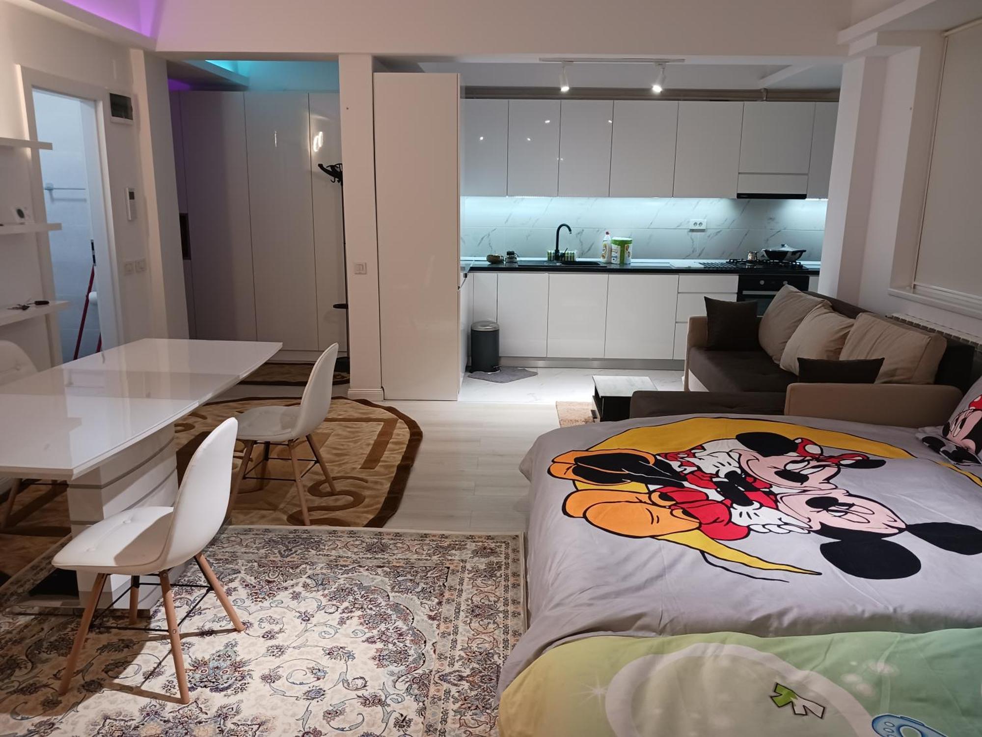 부쿠레슈티 Myky Mouse Nu Primesc Santieristi Si Petrecareti 아파트 외부 사진