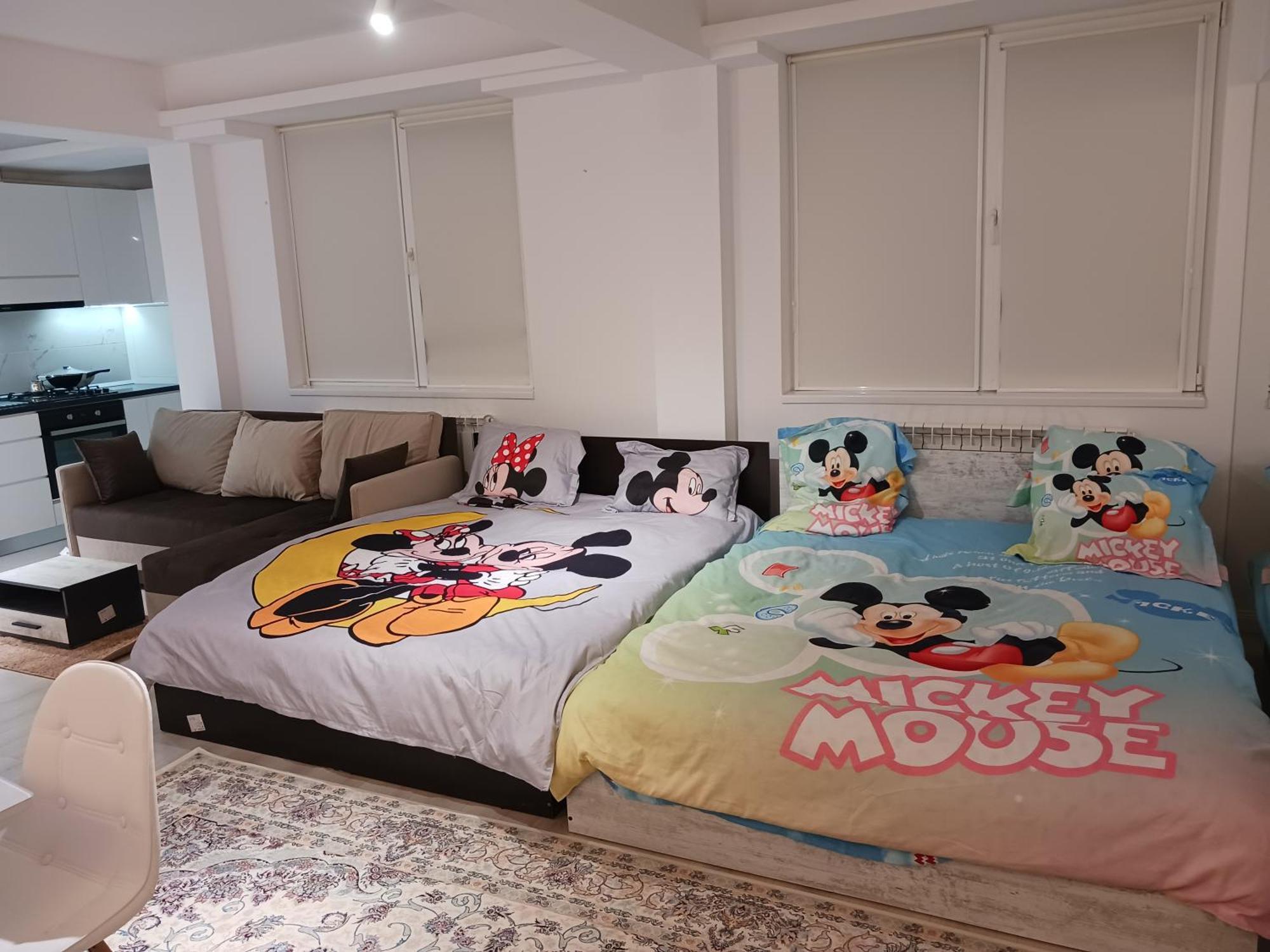부쿠레슈티 Myky Mouse Nu Primesc Santieristi Si Petrecareti 아파트 외부 사진